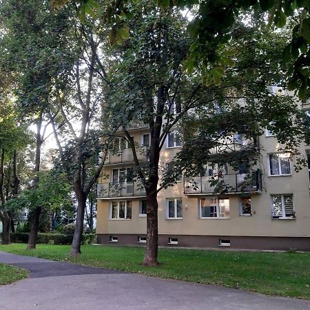 Apartament LUXURY BUSINESS Saska Kępa Apartament Warszawa Zewnętrze zdjęcie